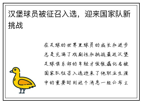 汉堡球员被征召入选，迎来国家队新挑战